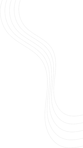 layer-41.png